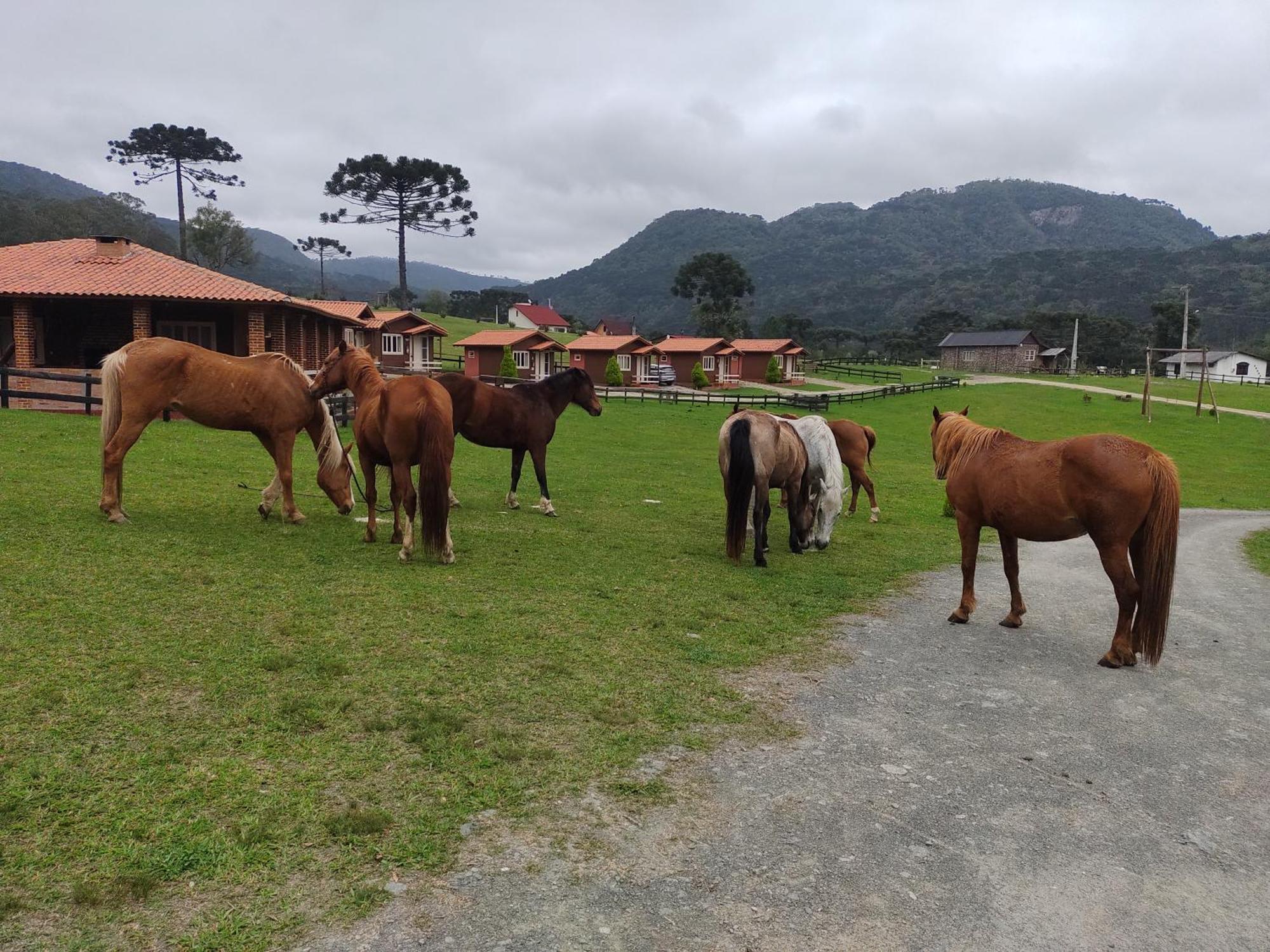 Отель Sitio Rancho Crioulo Урубиси Экстерьер фото